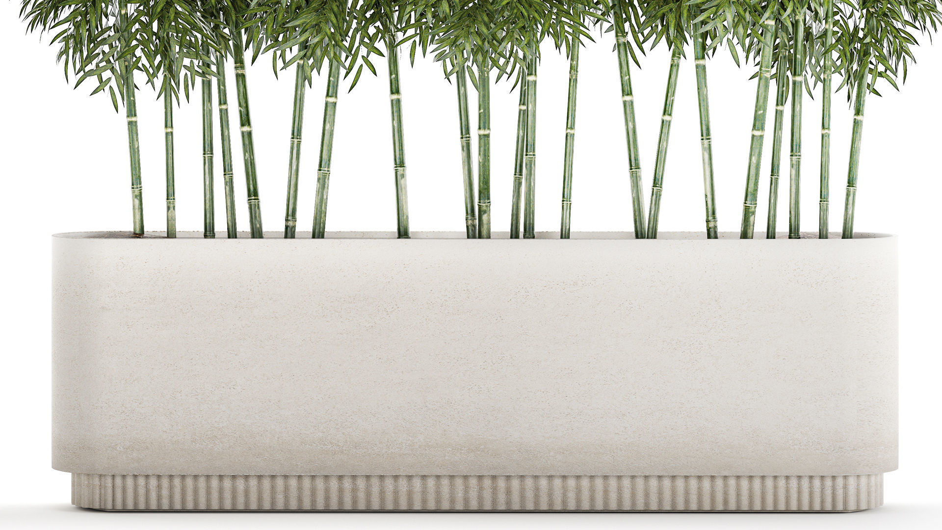 Beautiful plant bush Bamboo in pots 1354 3D model_4