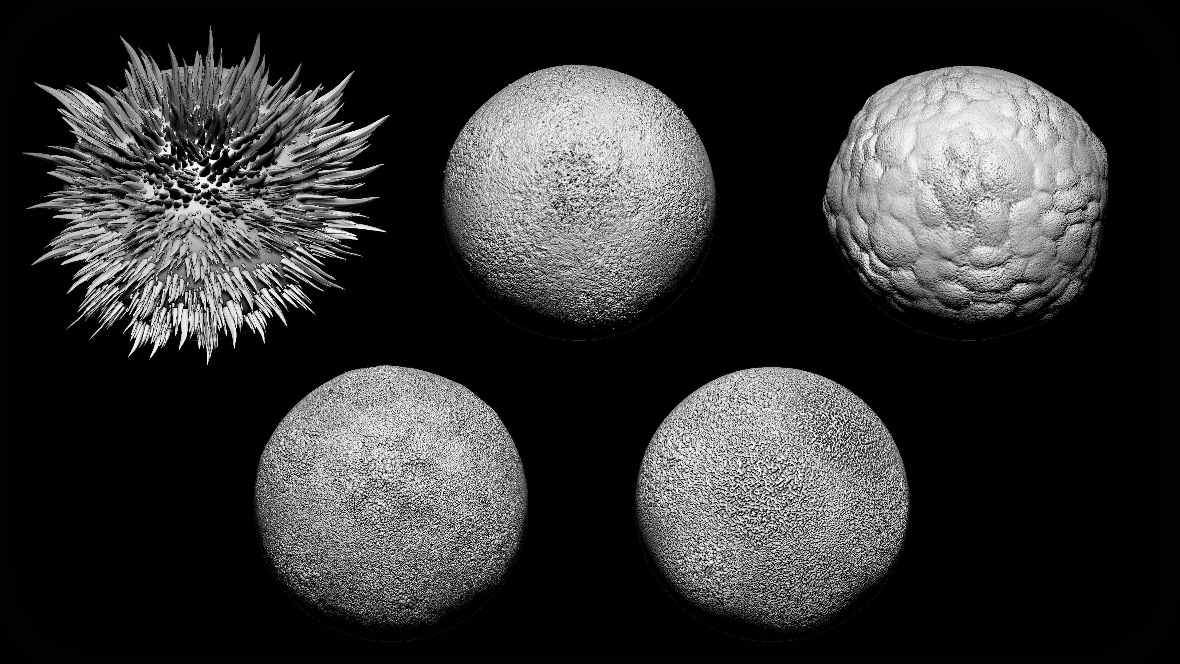 Zbrush - 20 Vegetation Nature Brushes Pack 3D model_4