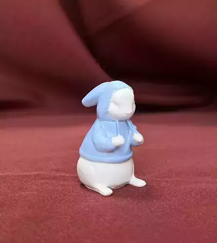 RABBIT WEARING A HOODIE 3D print model