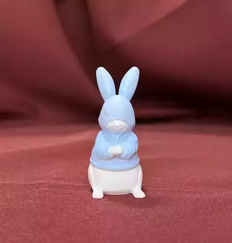 RABBIT WEARING A HOODIE 2 3D print model