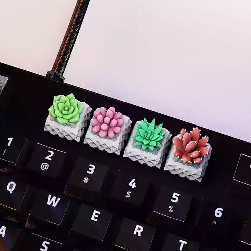 Succulents Plants Keycaps - Mechanical Keyboard  3D print model