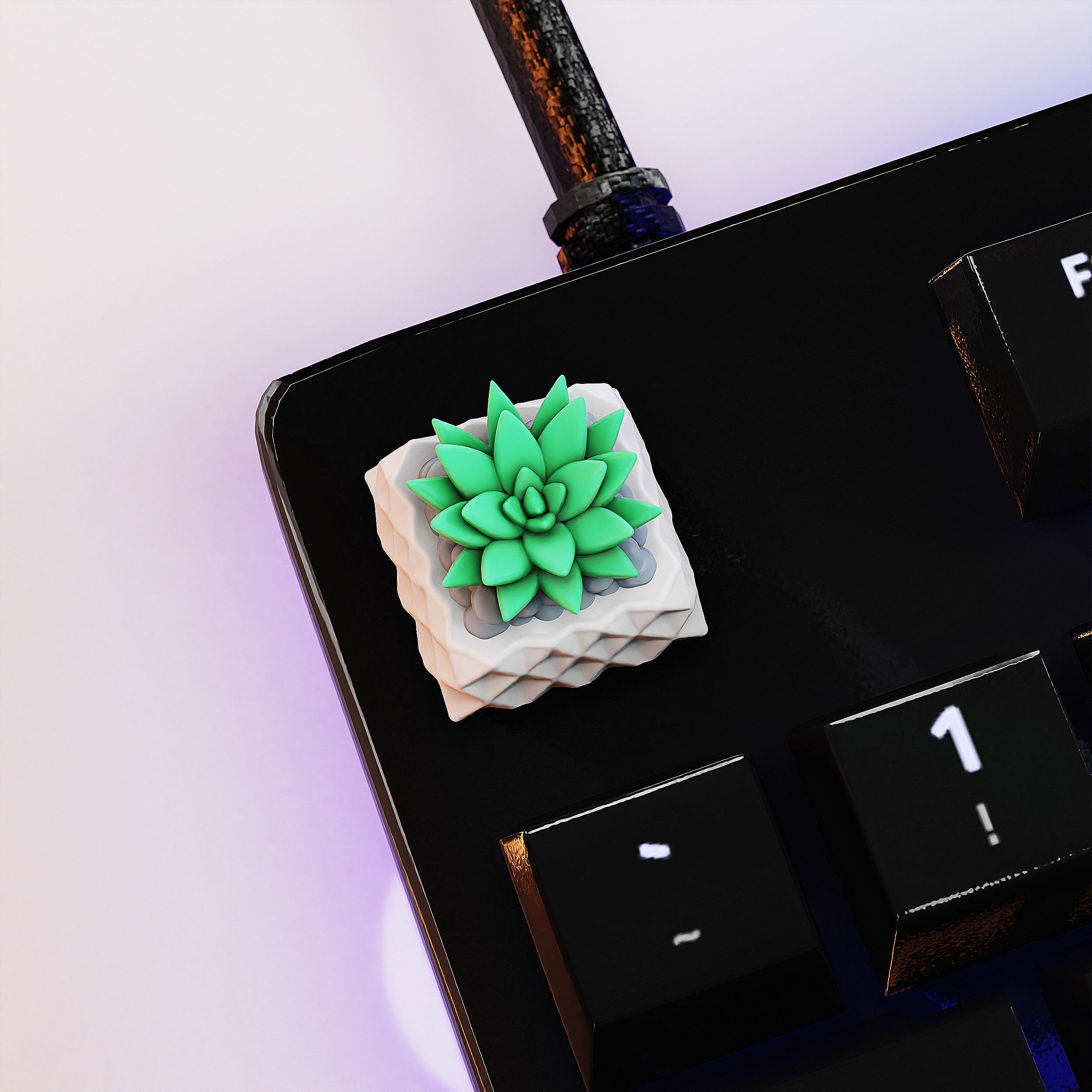 Succulents Plants Keycaps - Mechanical Keyboard  3D print model_7