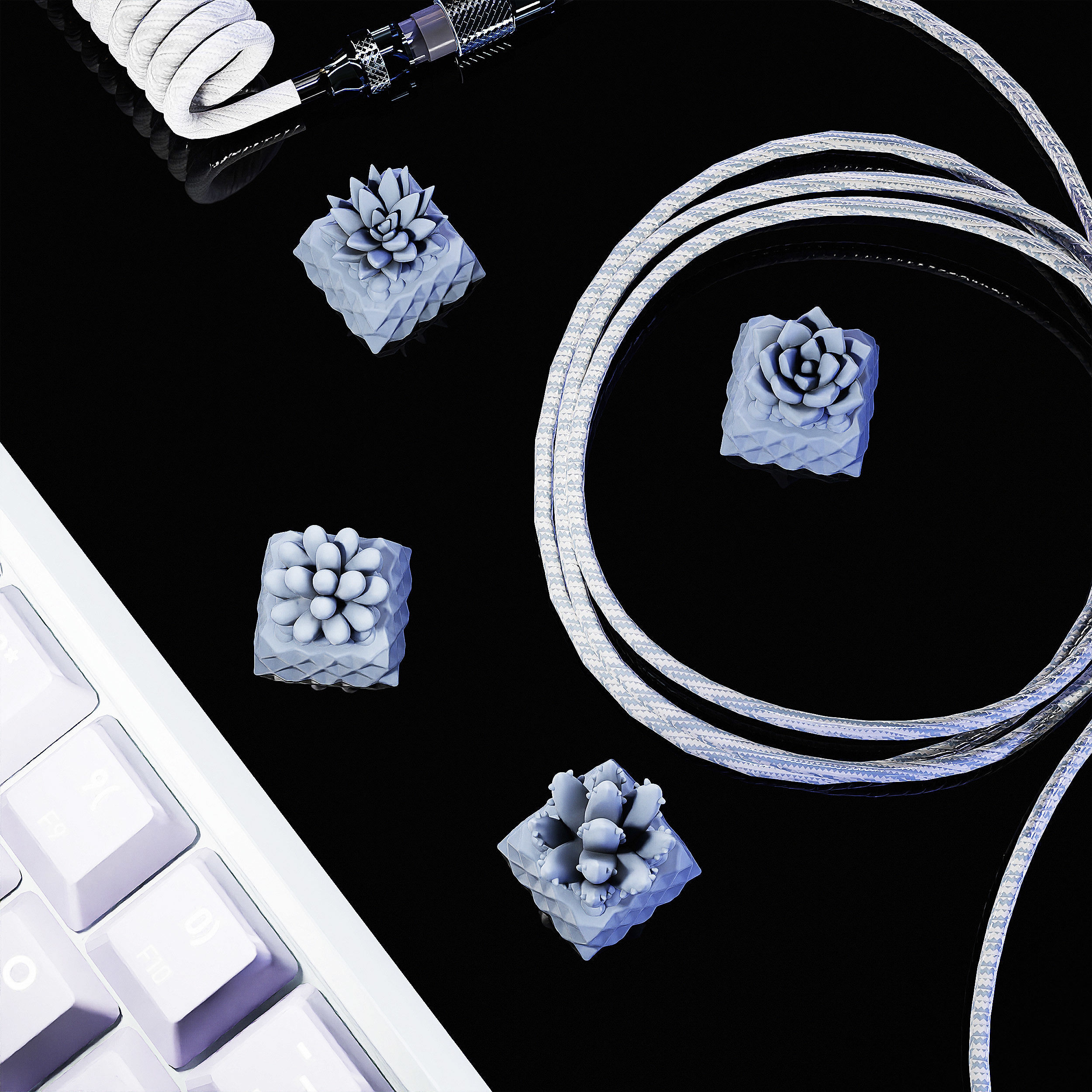 Succulents Plants Keycaps - Mechanical Keyboard  3D print model_2
