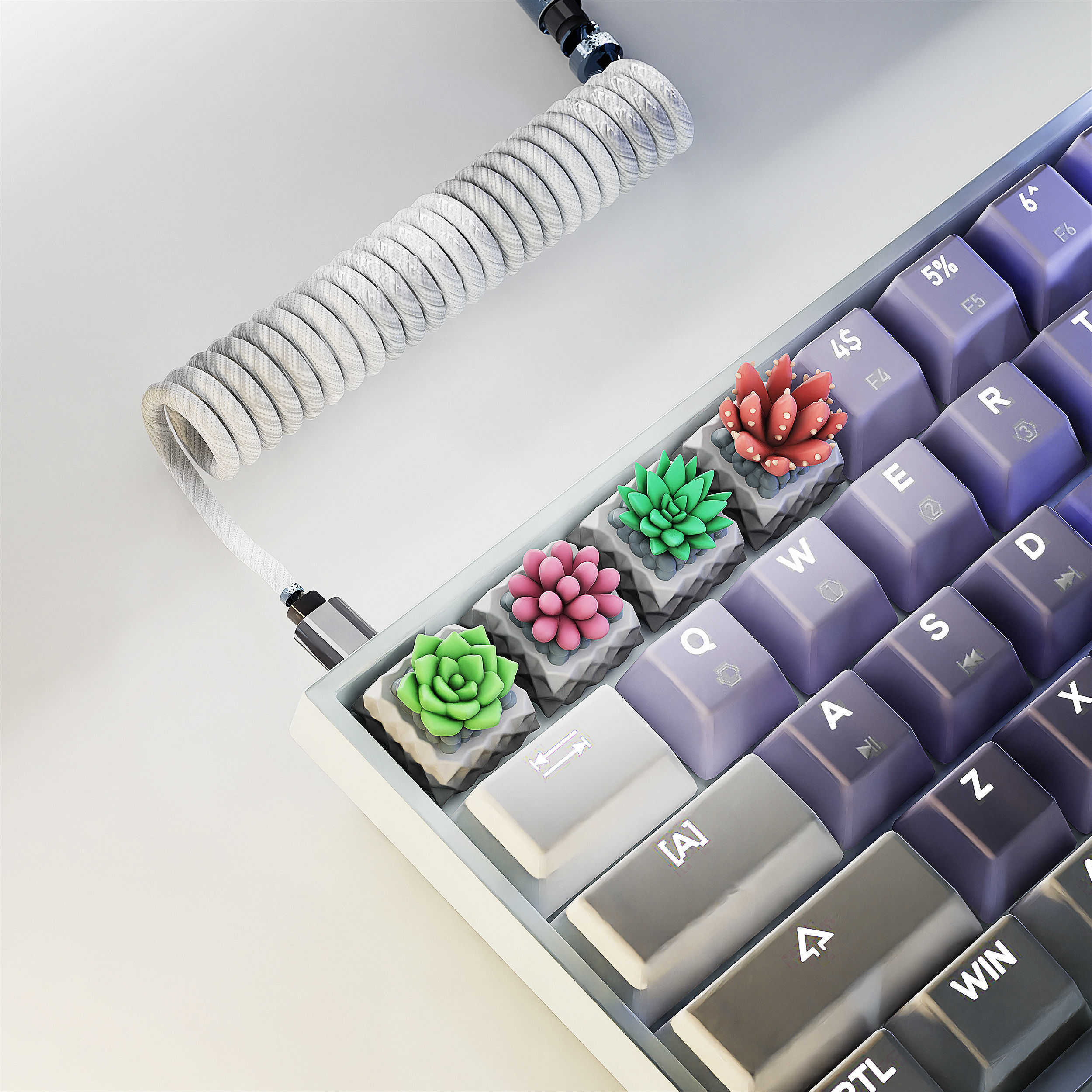 Succulents Plants Keycaps - Mechanical Keyboard  3D print model_4