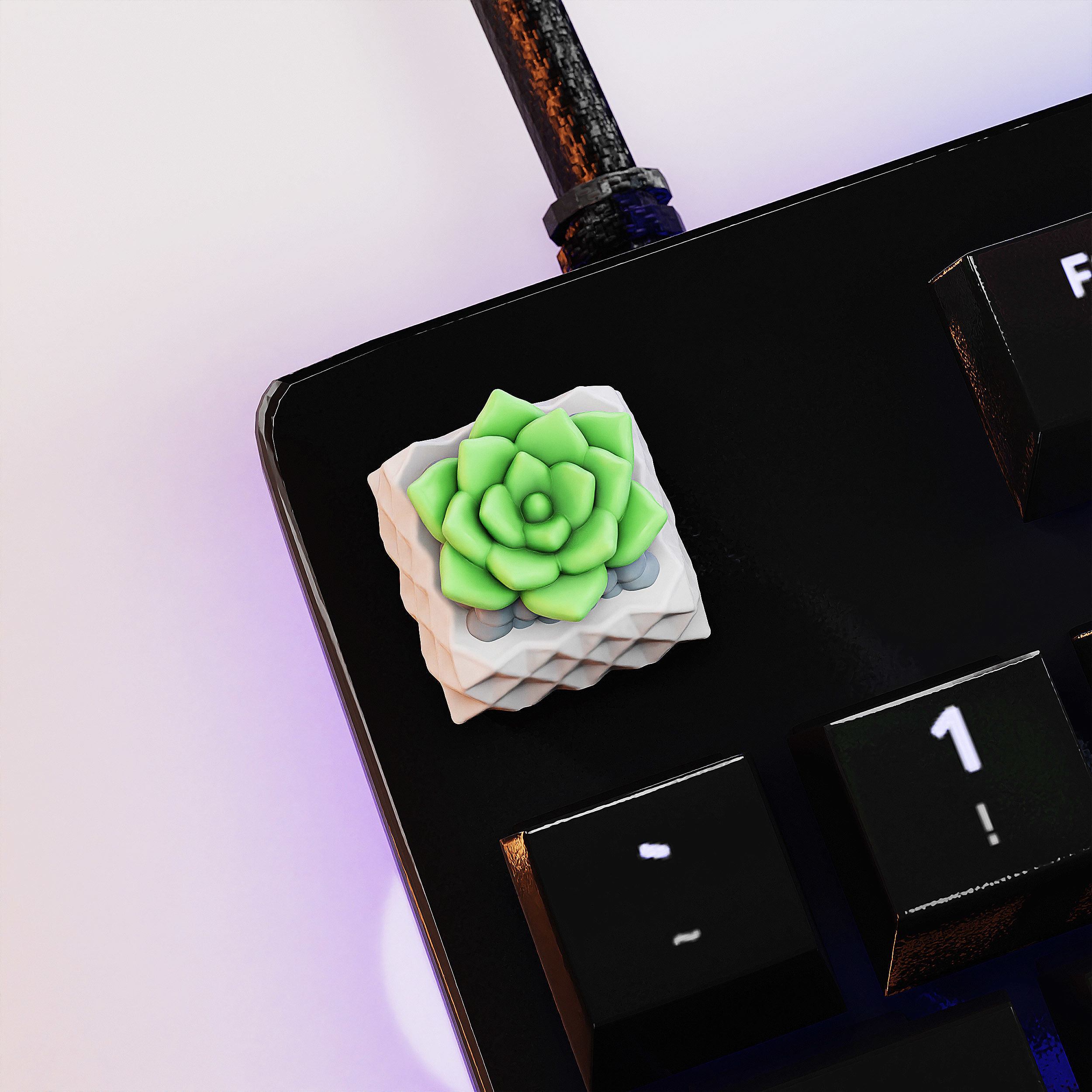 Succulents Plants Keycaps - Mechanical Keyboard  3D print model_5