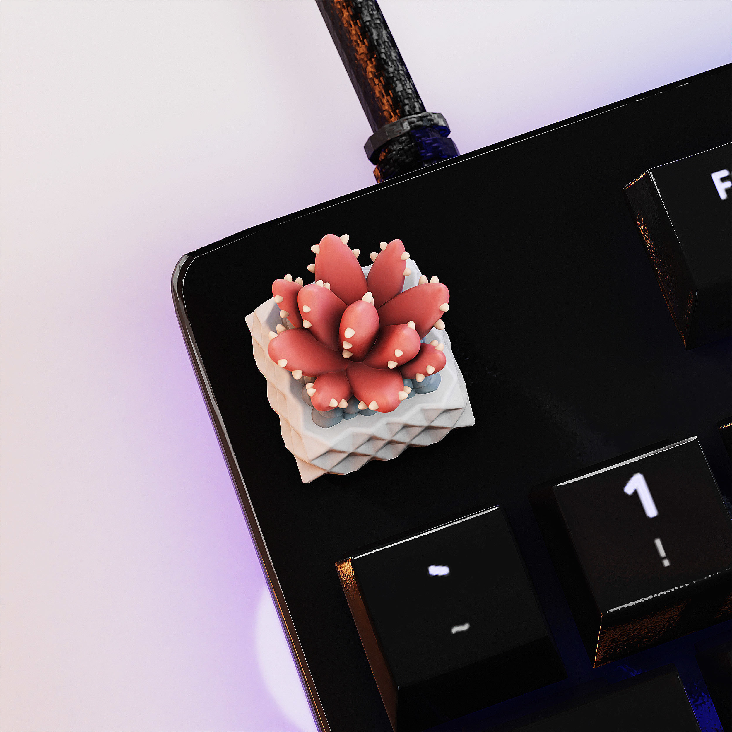 Succulents Plants Keycaps - Mechanical Keyboard  3D print model_8