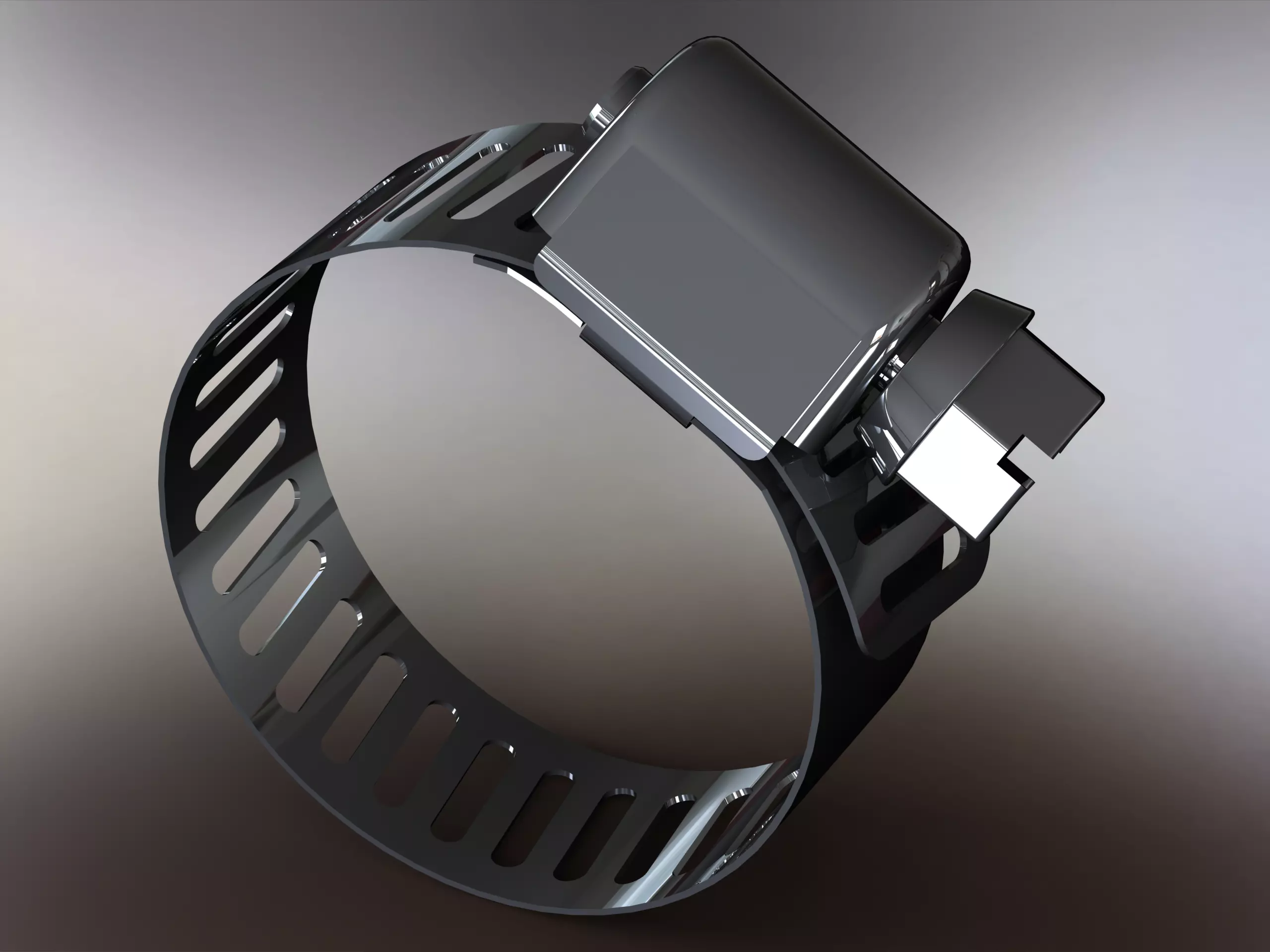 Hose Clamps 1 In 3D model