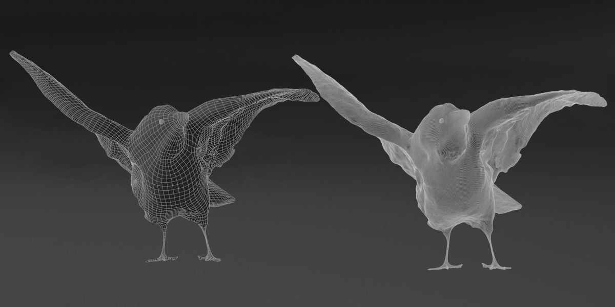 Photorealistic Raven Crow Low-poly 3D model_4