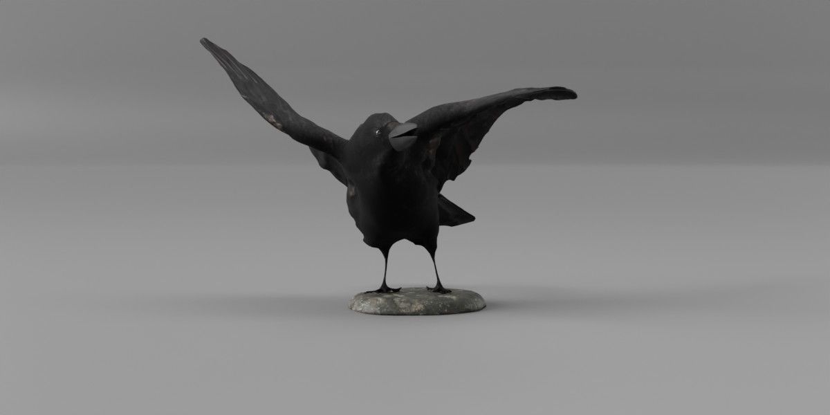 Photorealistic Raven Crow Low-poly 3D model_7