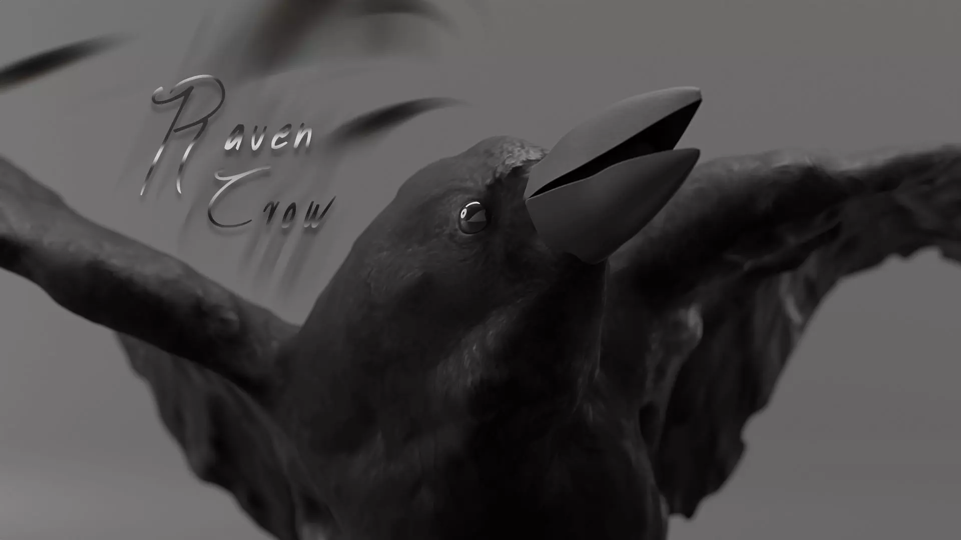Photorealistic Raven Crow Low-poly 3D model_0