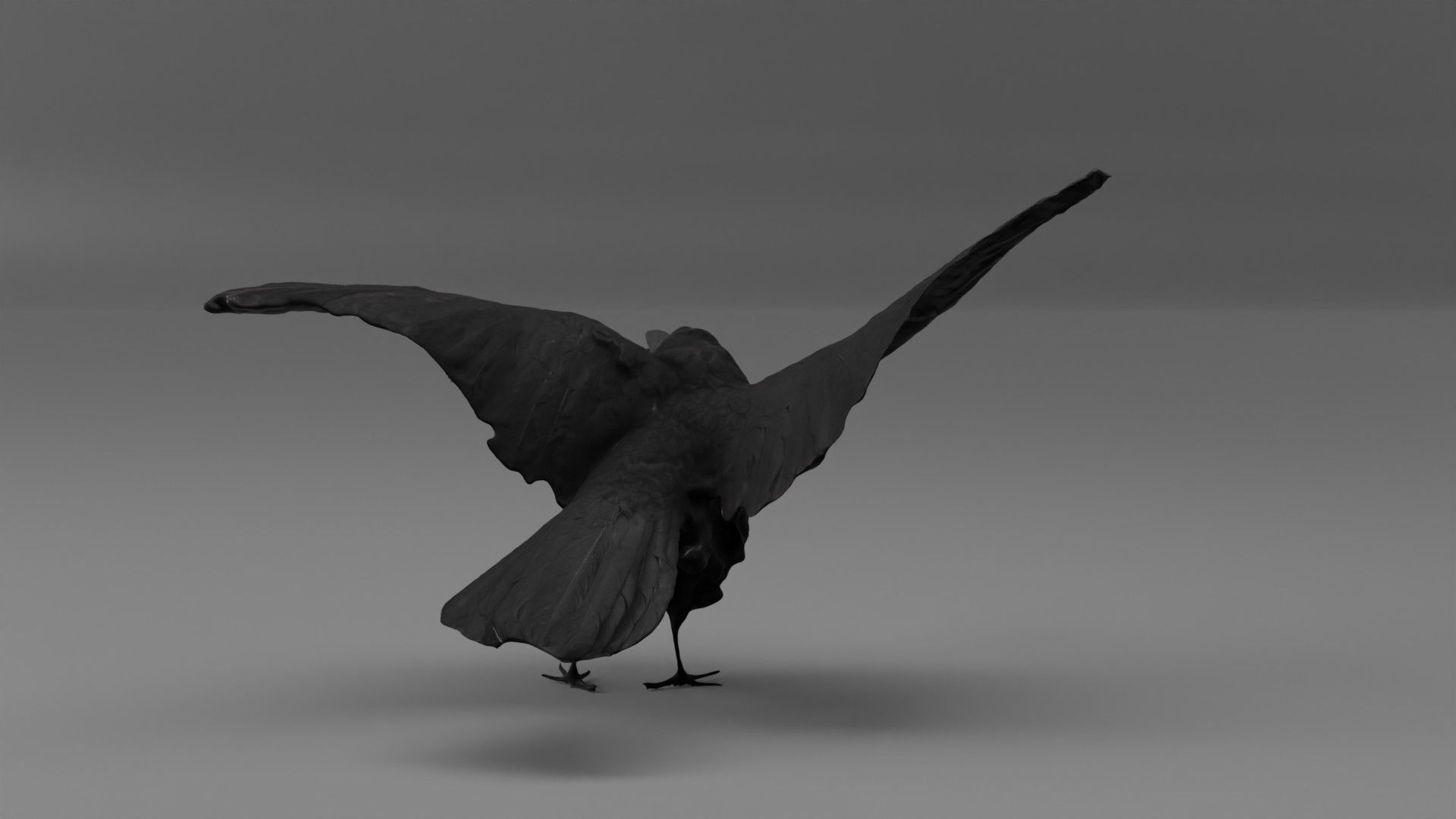 Photorealistic Raven Crow Low-poly 3D model_8