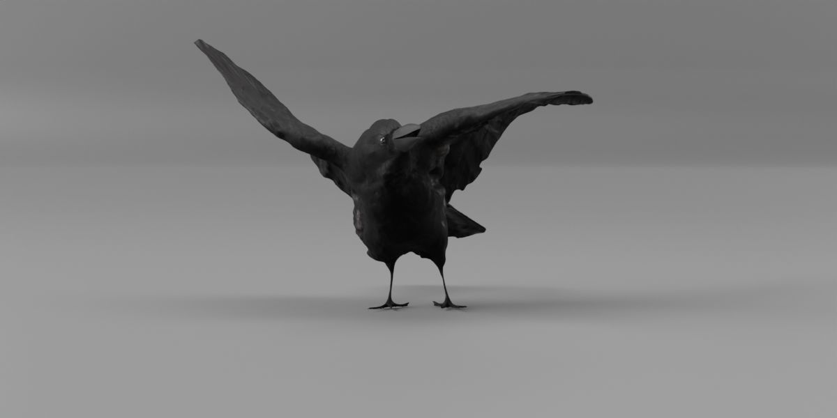 Photorealistic Raven Crow Low-poly 3D model_6
