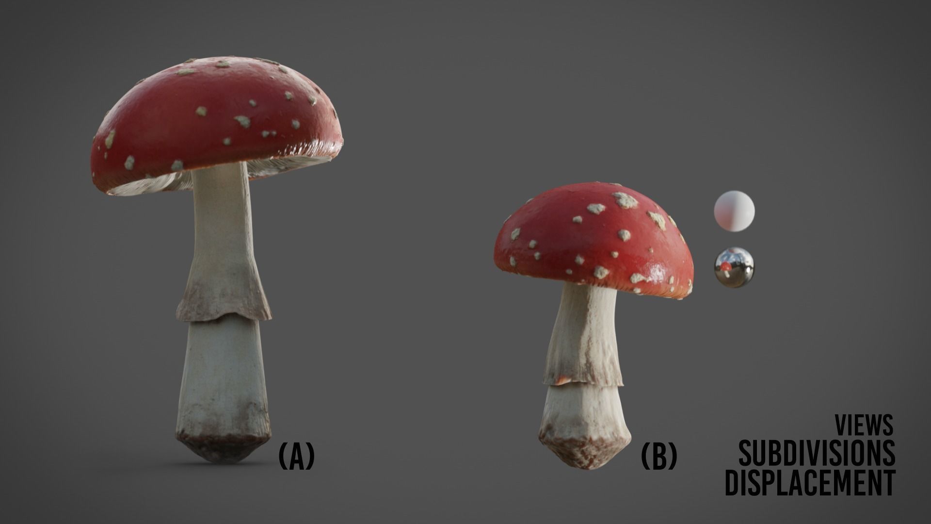 Mushrooms Fly Agaric or Amanita muscaria 3D model_12