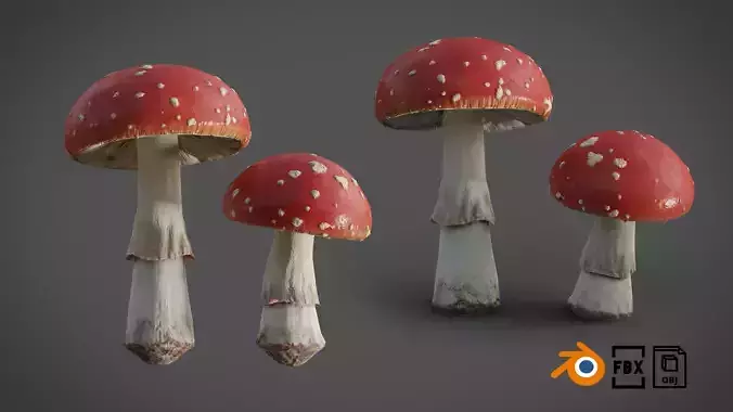 Mushrooms Fly Agaric or Amanita muscaria 3D model
