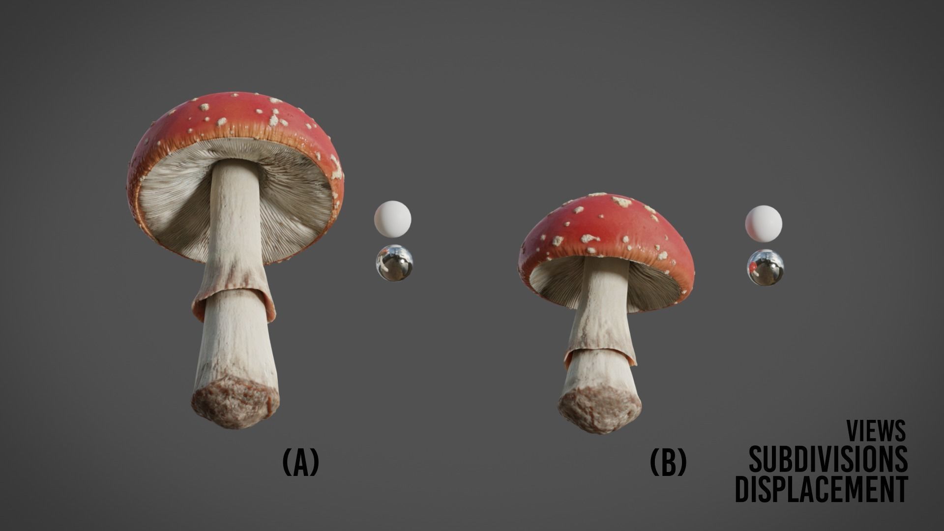 Mushrooms Fly Agaric or Amanita muscaria 3D model_13
