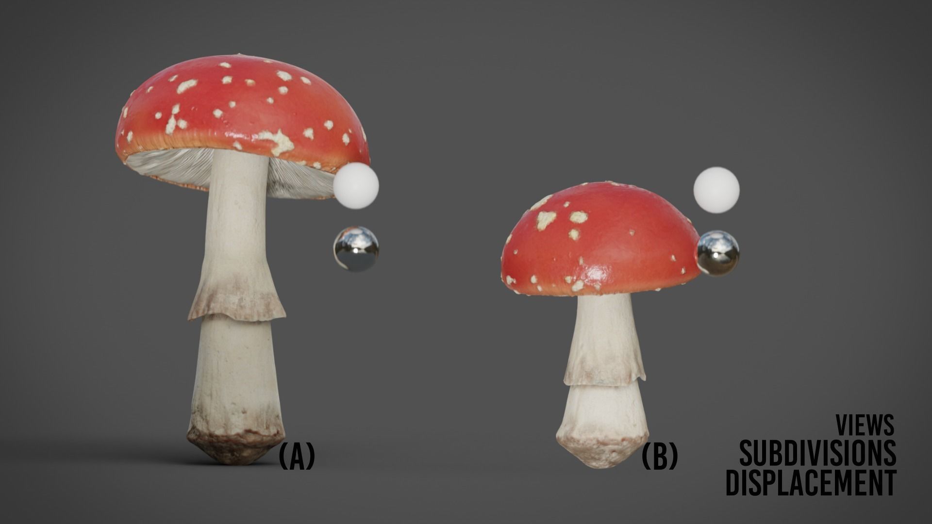 Mushrooms Fly Agaric or Amanita muscaria 3D model_9
