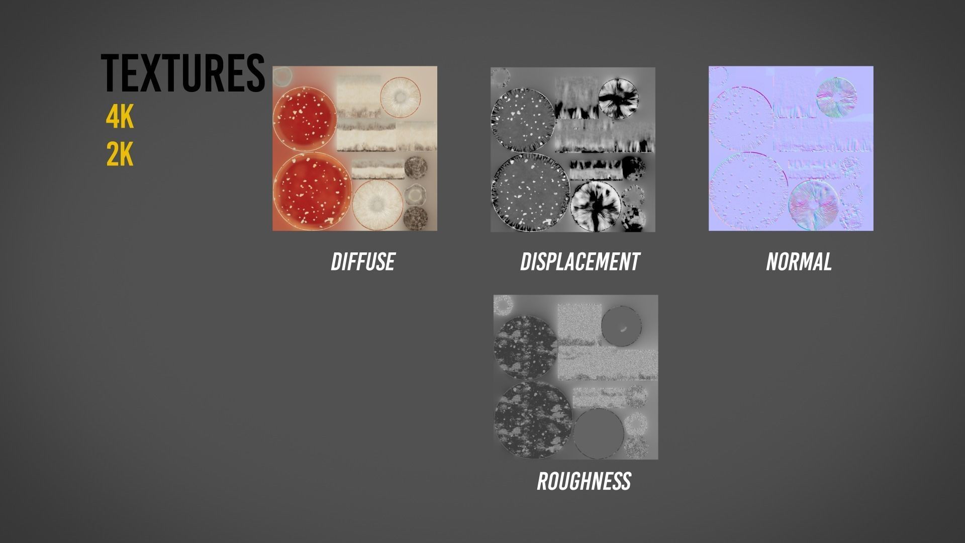 Mushrooms Fly Agaric or Amanita muscaria 3D model_16