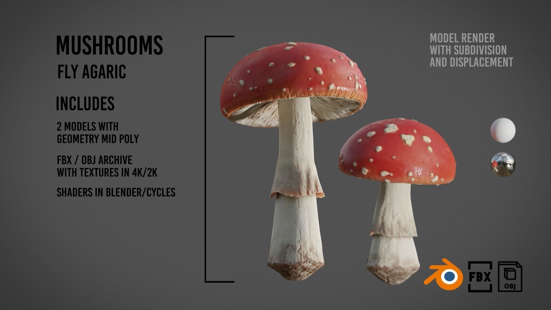 Mushrooms Fly Agaric or Amanita muscaria 3D model_3
