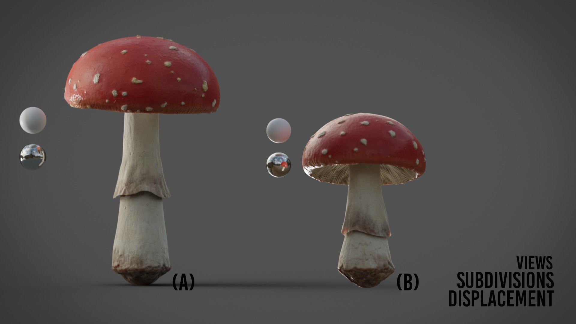 Mushrooms Fly Agaric or Amanita muscaria 3D model_11