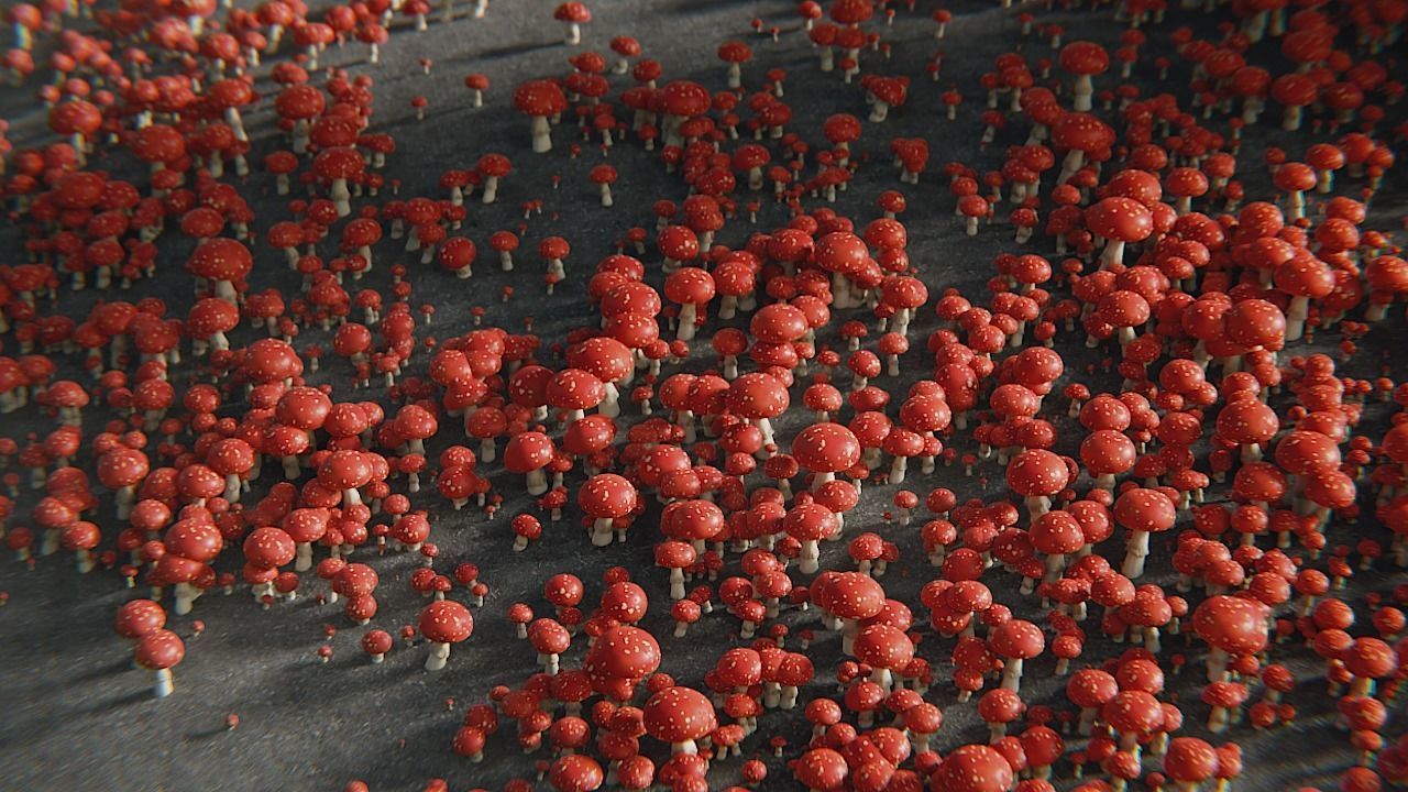 Mushrooms Fly Agaric or Amanita muscaria 3D model_4