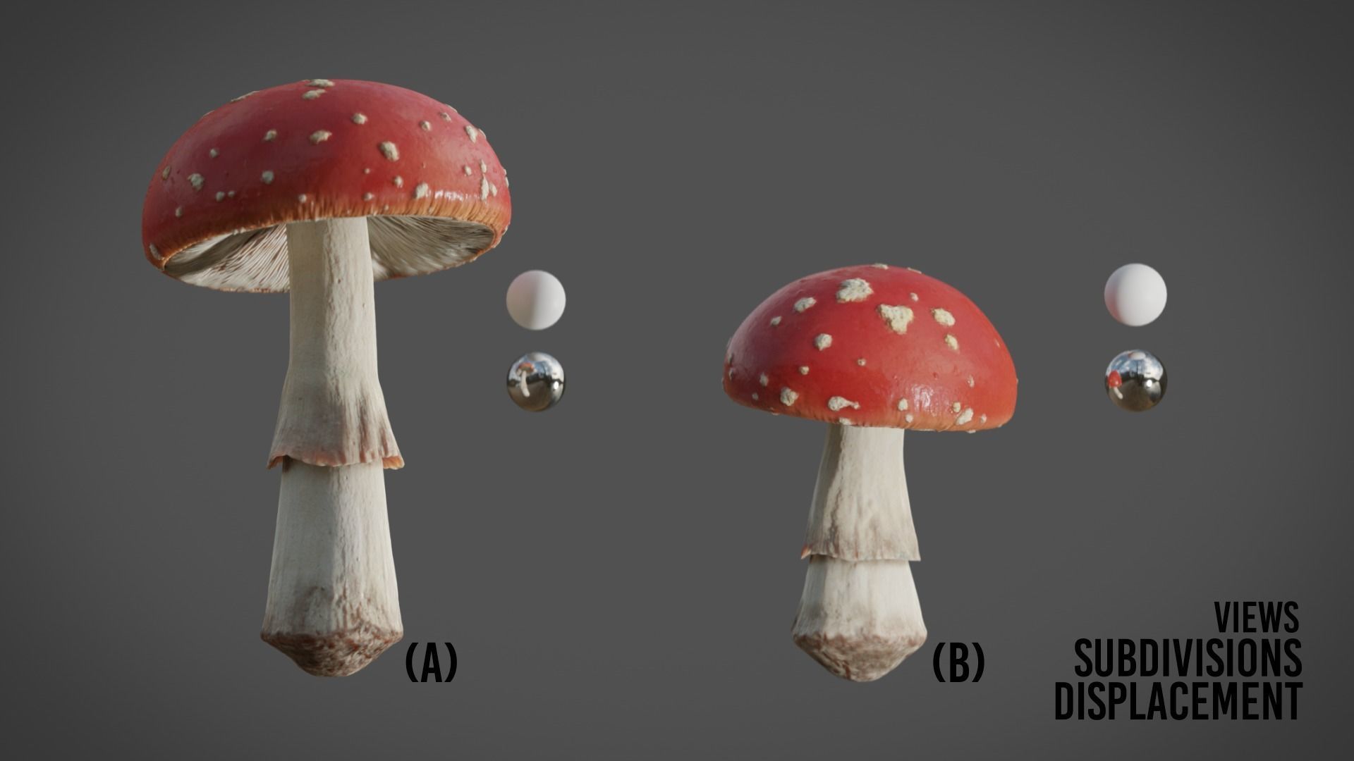 Mushrooms Fly Agaric or Amanita muscaria 3D model_8