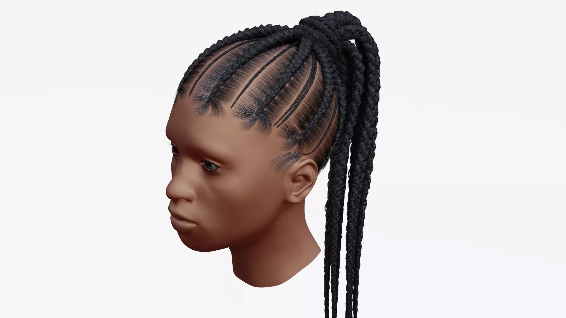 Female afro hair braids with tail 3d Model v01 Low-poly 3D model_0