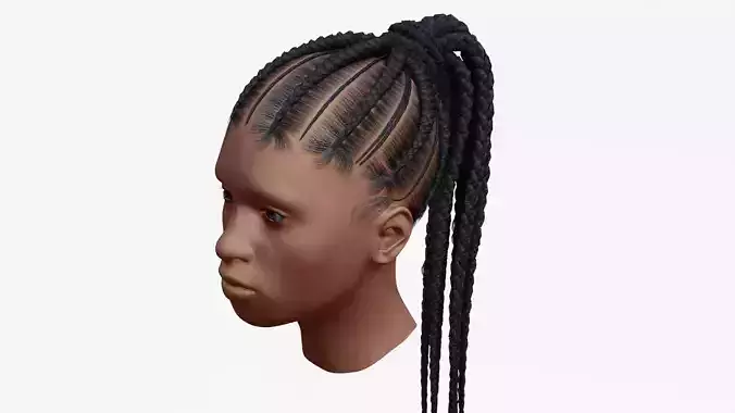 Female afro hair braids with tail 3d Model v01 Low-poly 3D model
