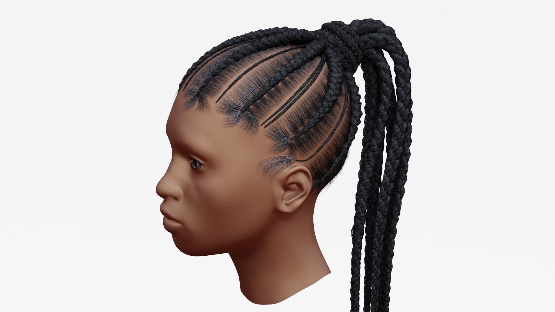 Female afro hair braids with tail 3d Model v01 Low-poly 3D model_2