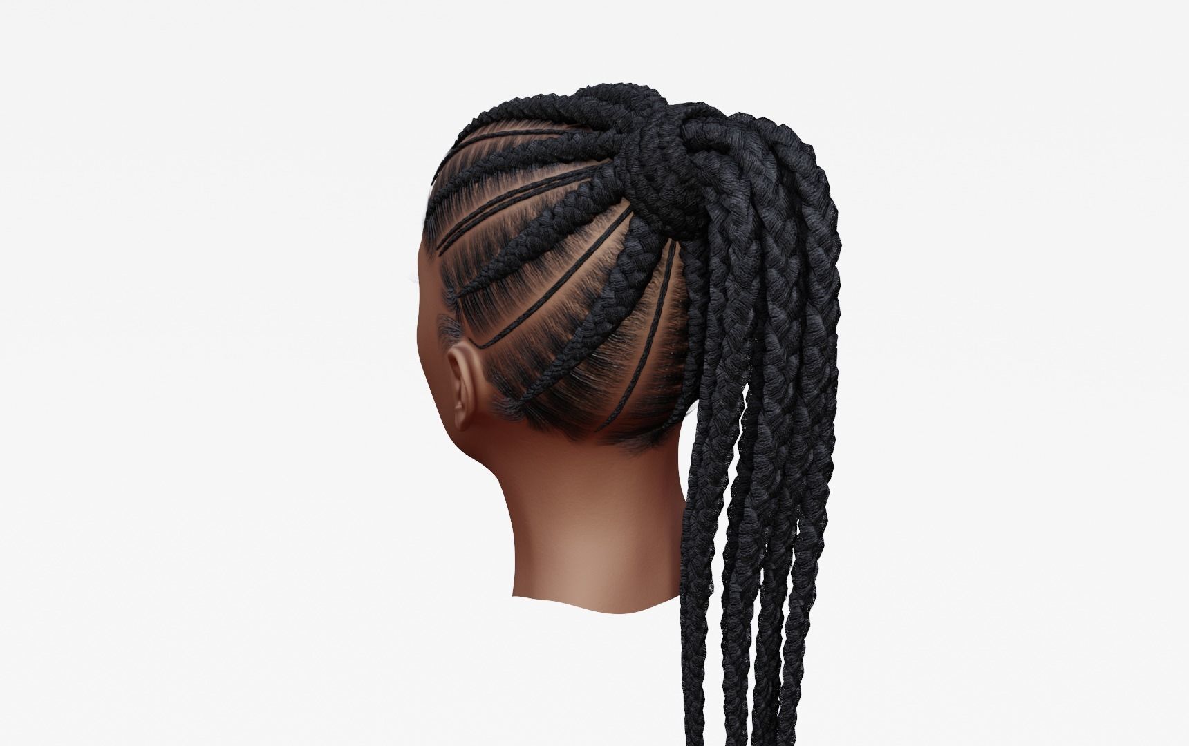 Female afro hair braids with tail 3d Model v01 Low-poly 3D model_3