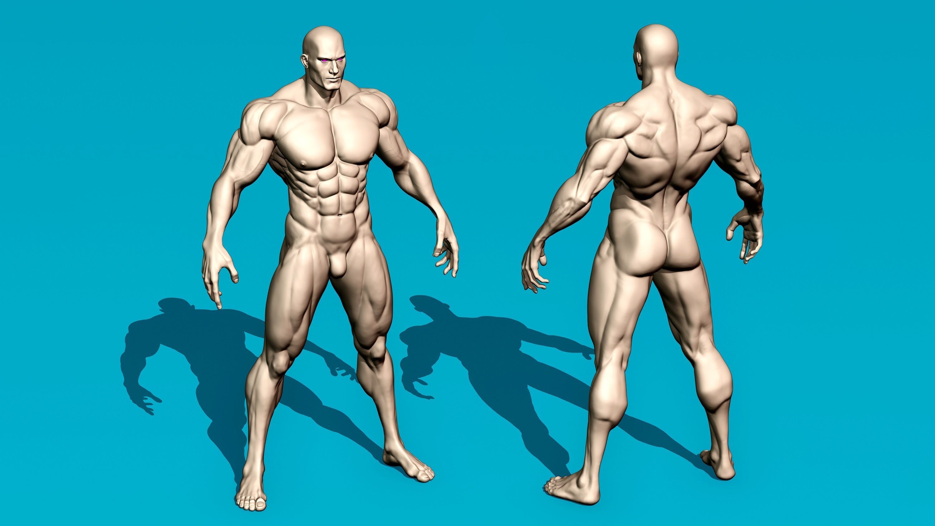 Muscular Male Anatomy Figurine 3D print model_1