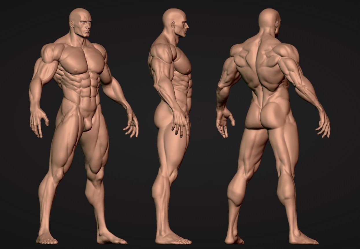 Muscular Male Anatomy Figurine 3D print model_4
