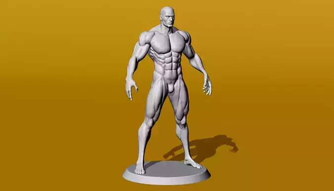 Muscular Male Anatomy Figurine 3D print model