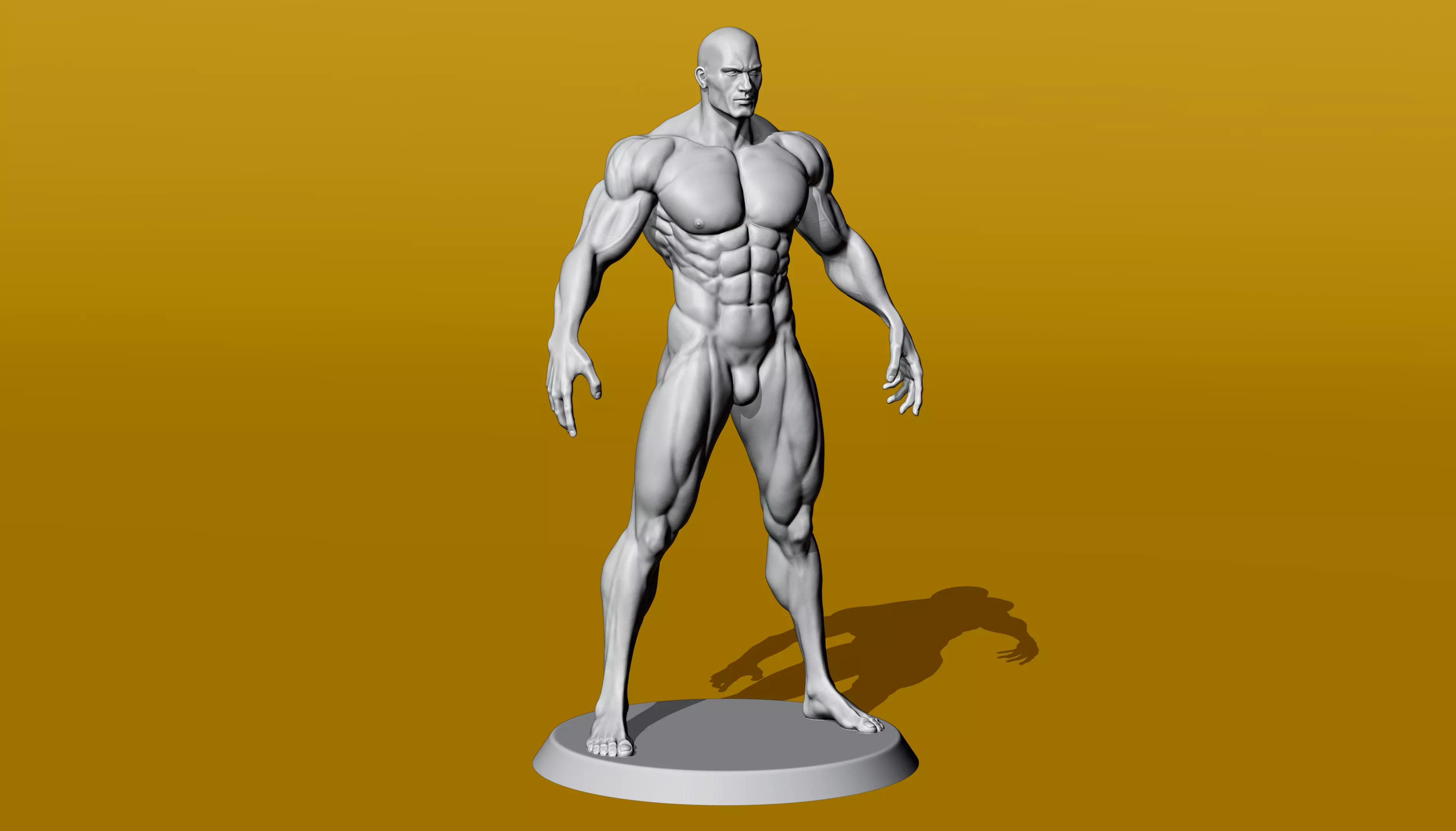 Muscular Male Anatomy Figurine 3D print model_0