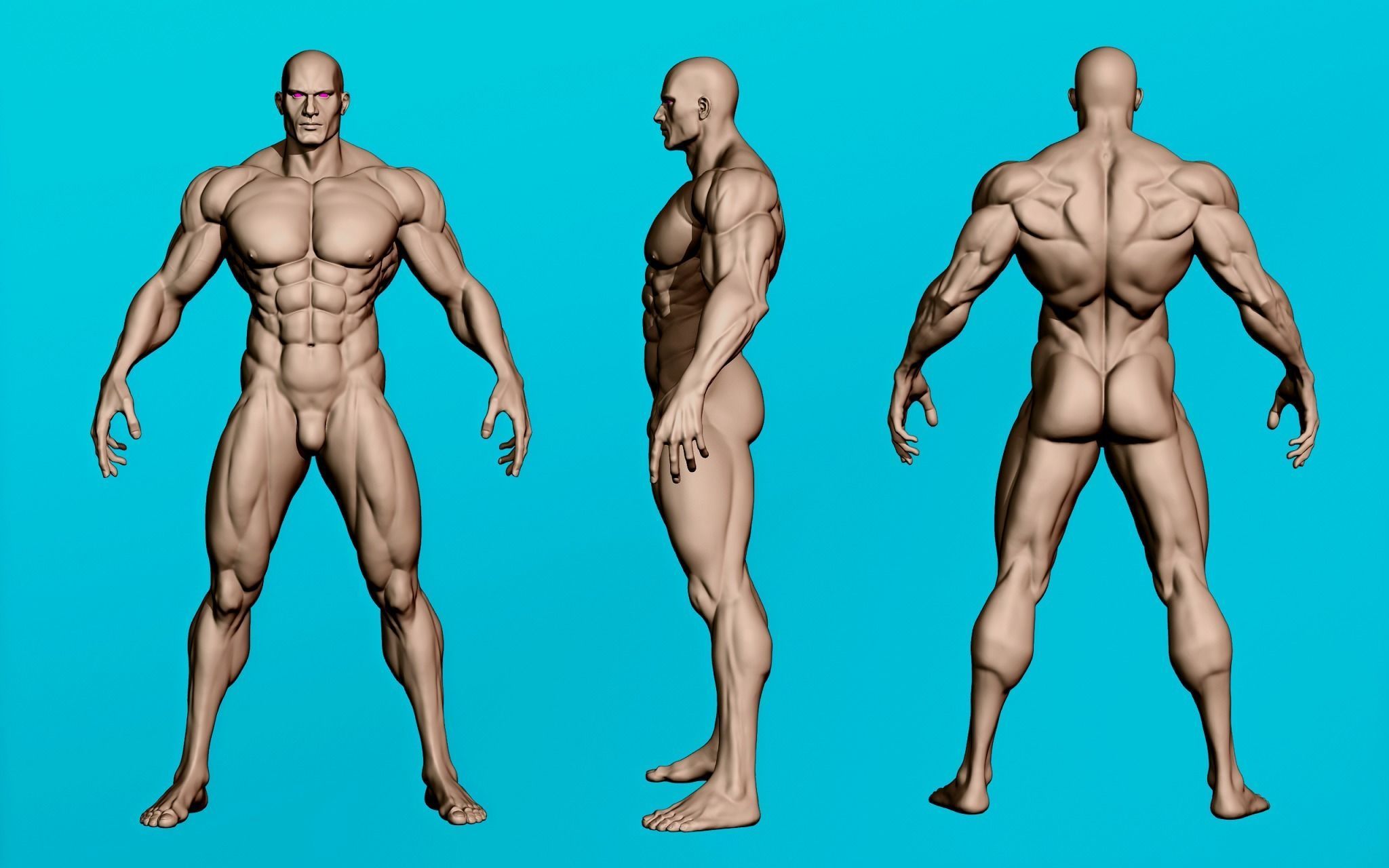 Muscular Male Anatomy Figurine 3D print model_2
