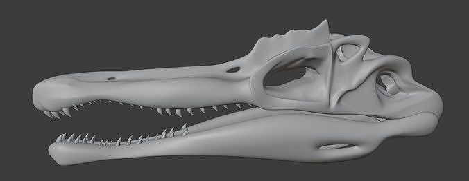 Spinosaurus skull 3d printable model Free 3D print model