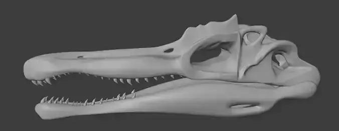 Spinosaurus skull 3d printable model