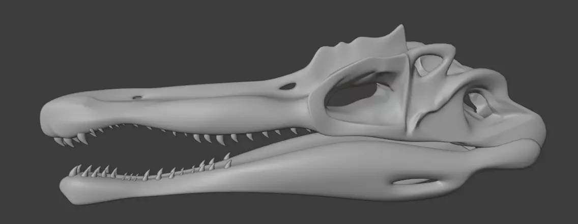 Spinosaurus skull 3d printable model Free 3D print model