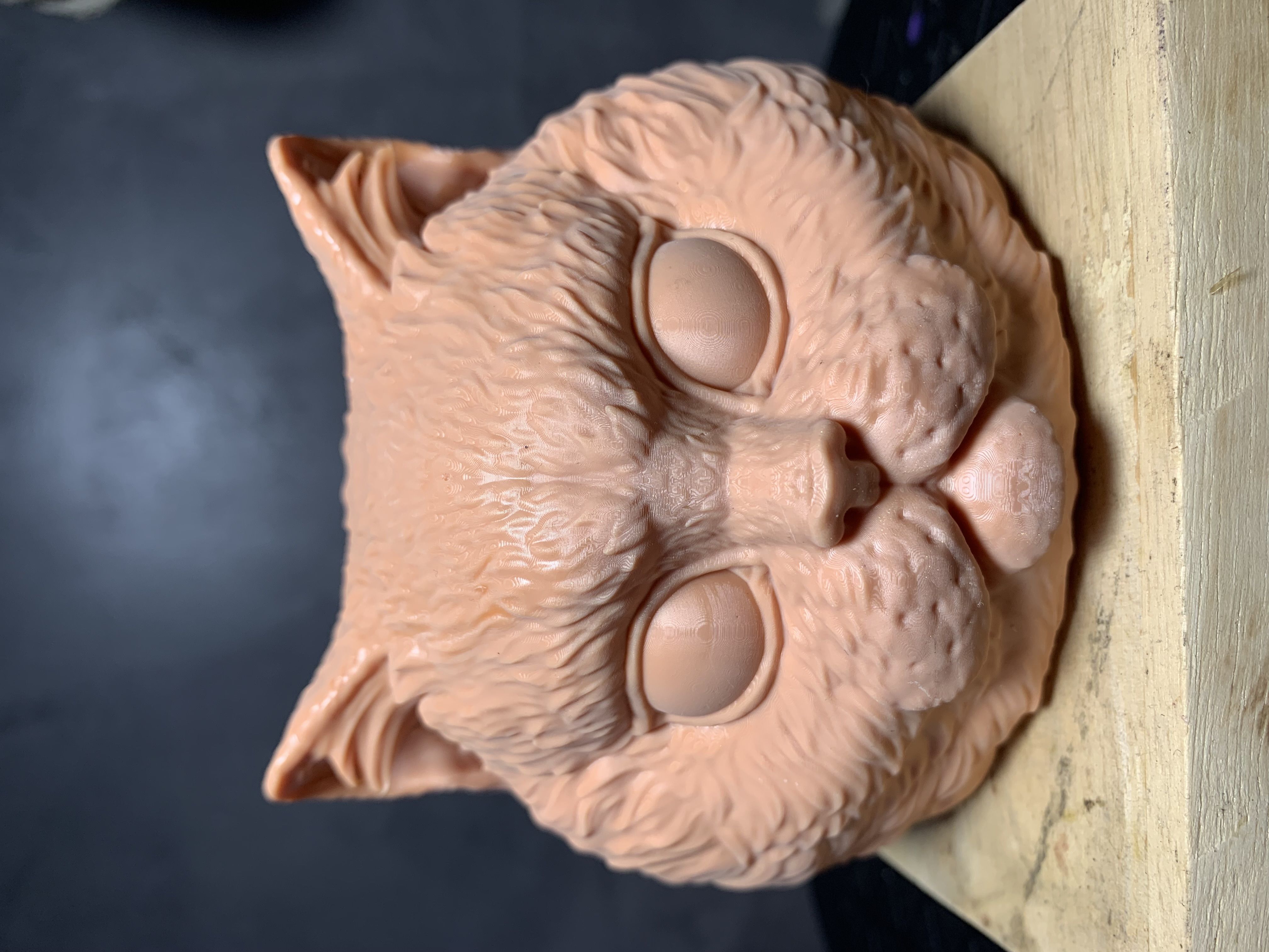 Cat Head 01 3D print model_1