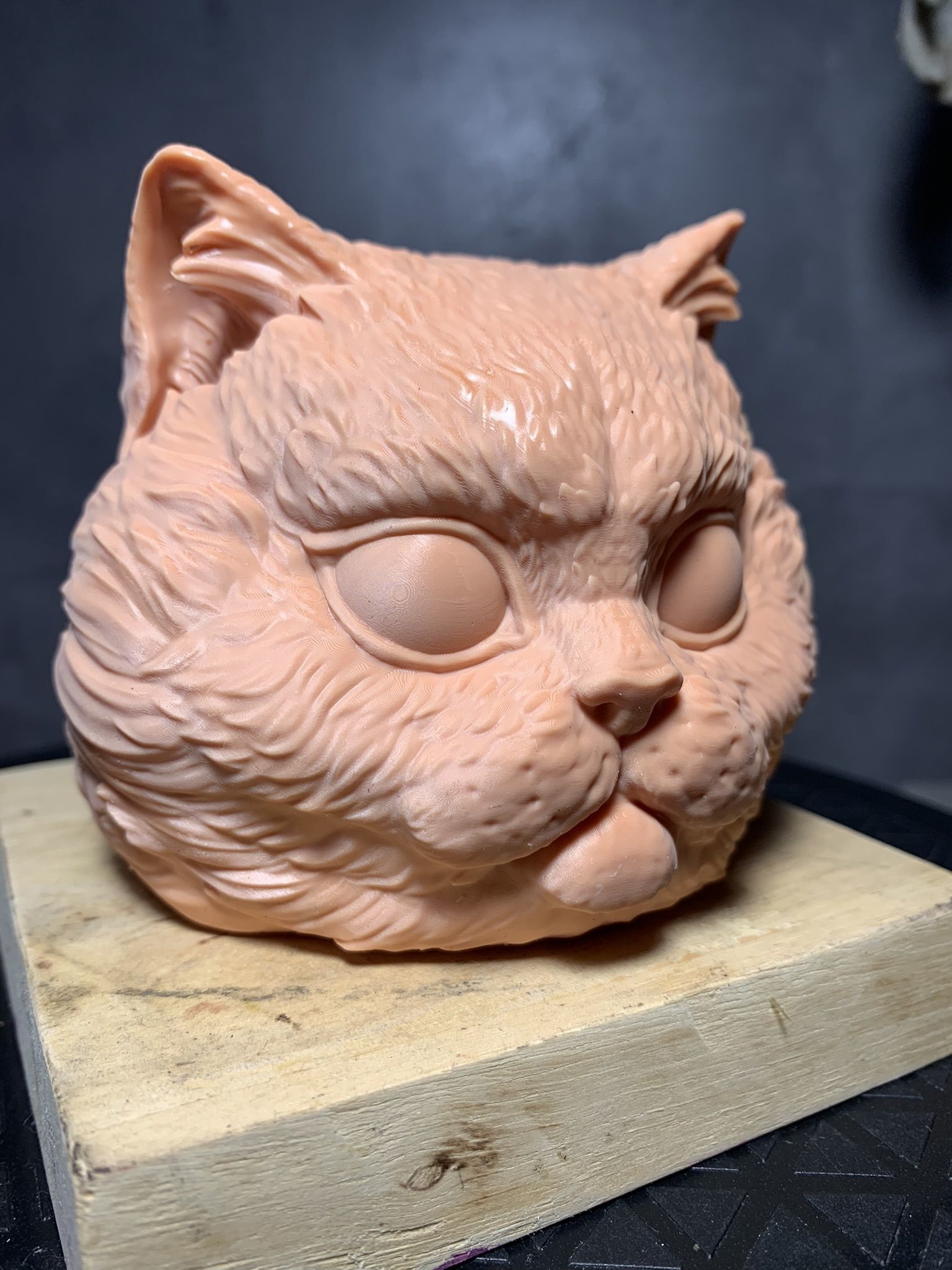 Cat Head 01 3D print model_5