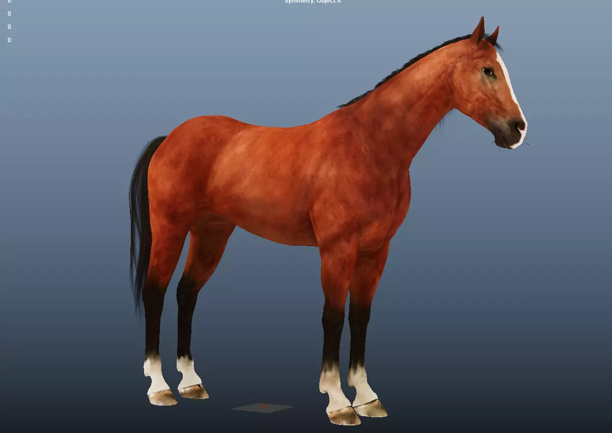 Hourse Rig Model Low-poly 3D model_3