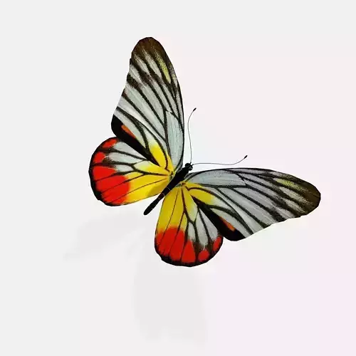 Fluttering butterfly Low-poly 3D model