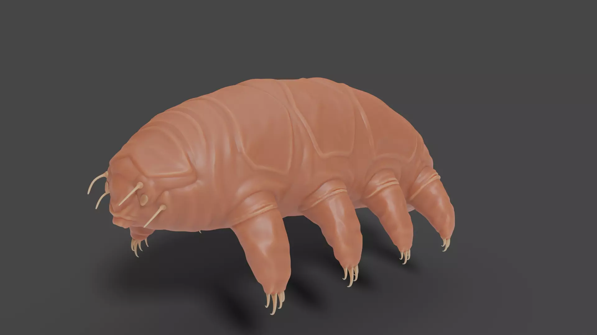 3D Tardigrade Sculpture Model 3D model