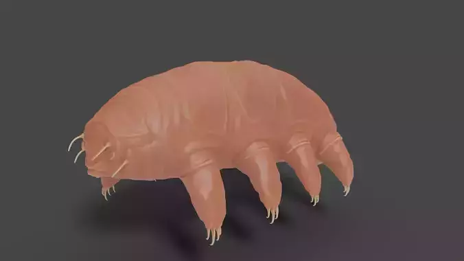 3D Tardigrade Sculpture Model 3D model