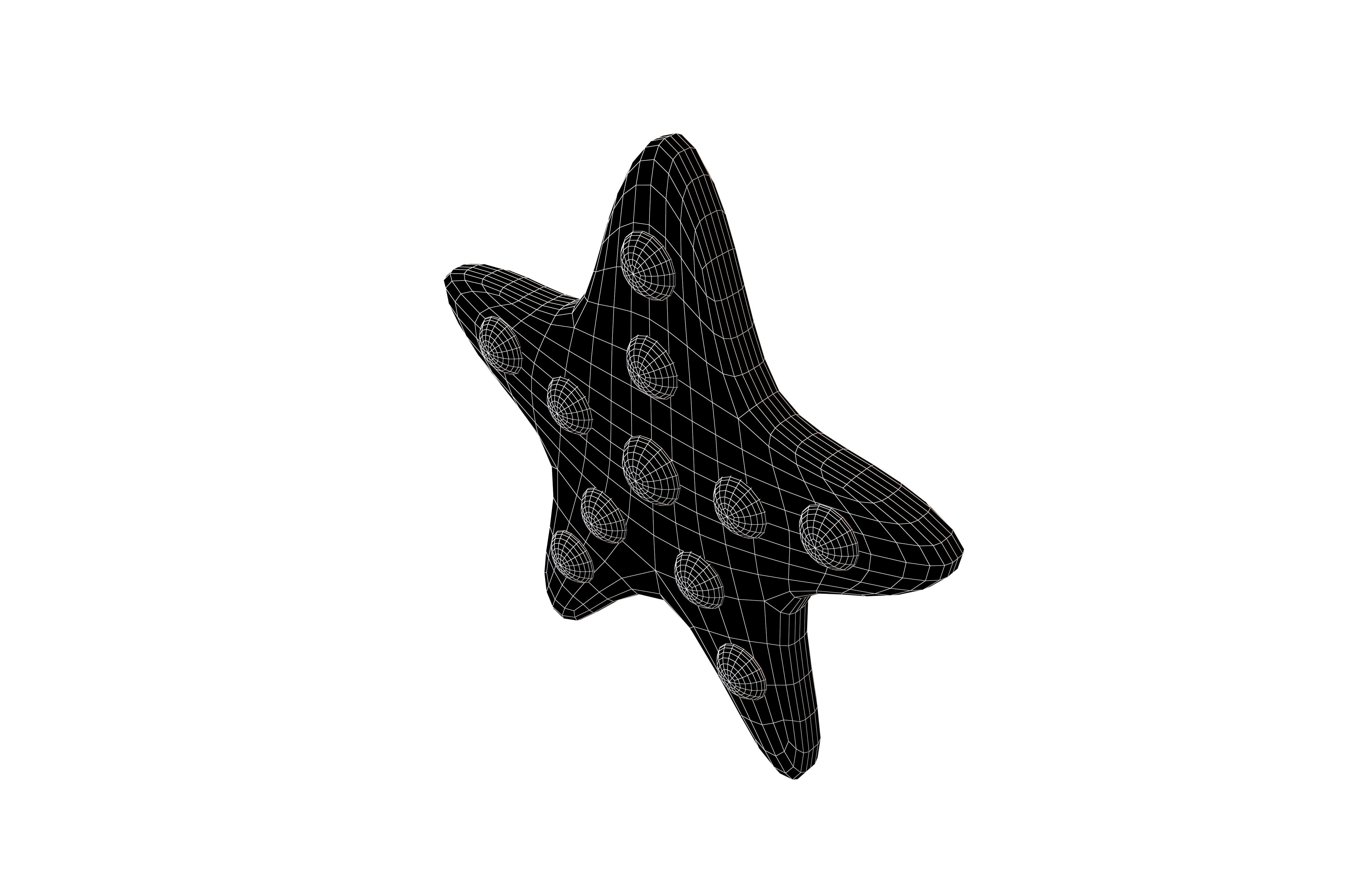 Starfish V1 001 Low-poly 3D model_6