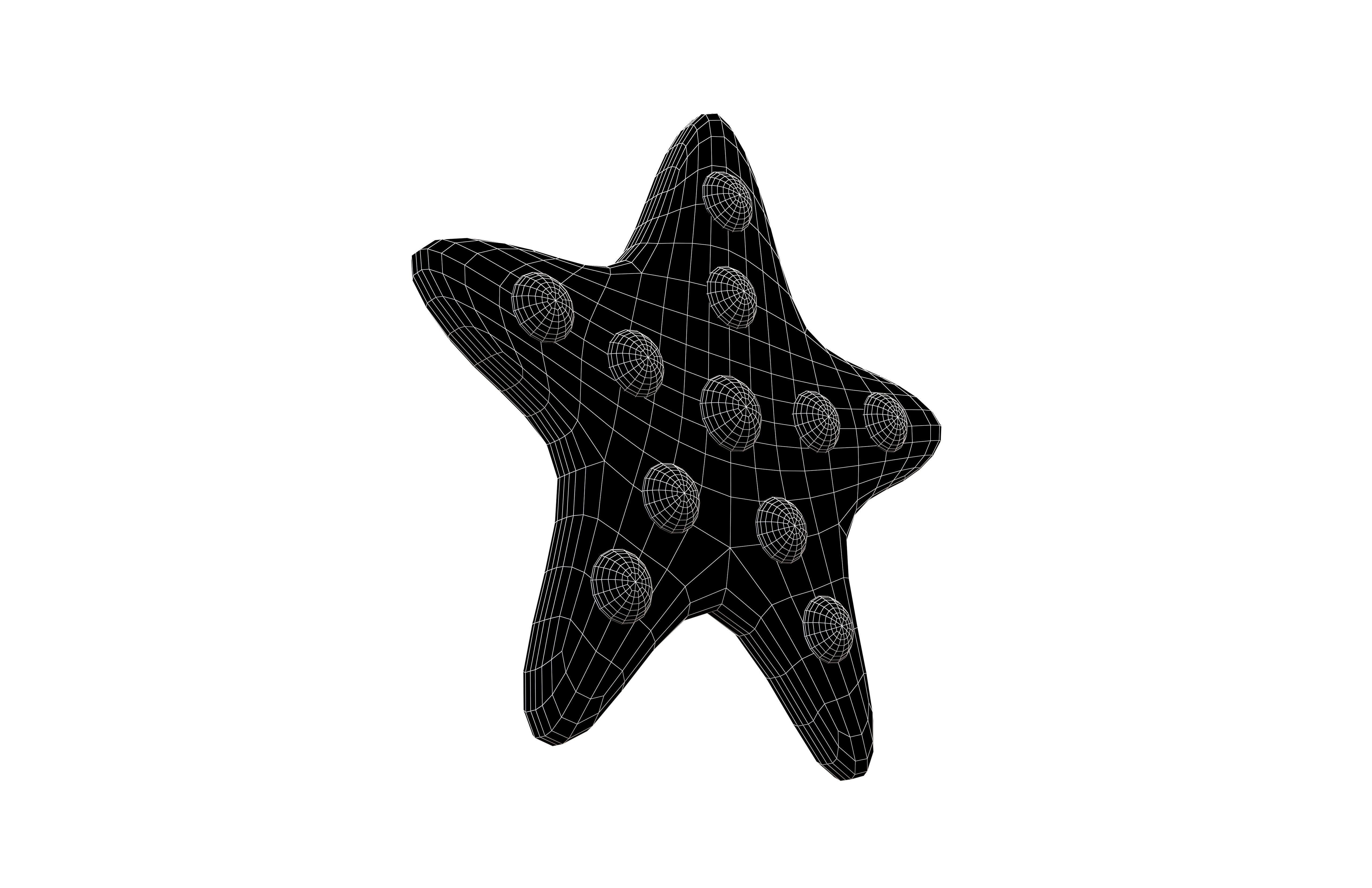 Starfish V1 005 Low-poly 3D model_7