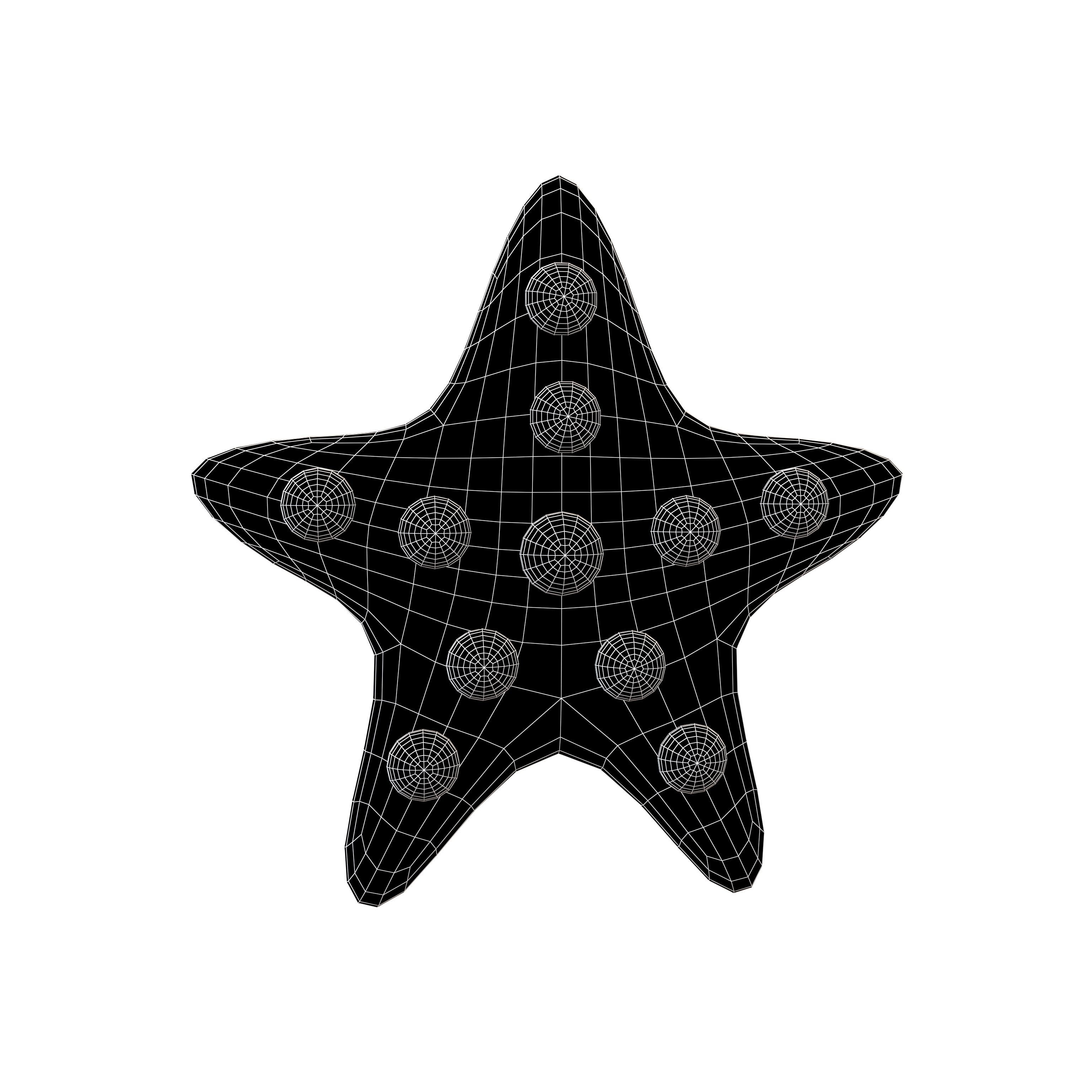 Starfish V1 005 Low-poly 3D model_4