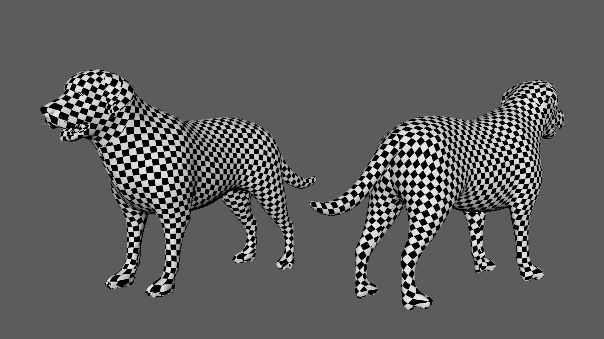 Labrador Dog BaseMesh  Low-poly 3D model_3