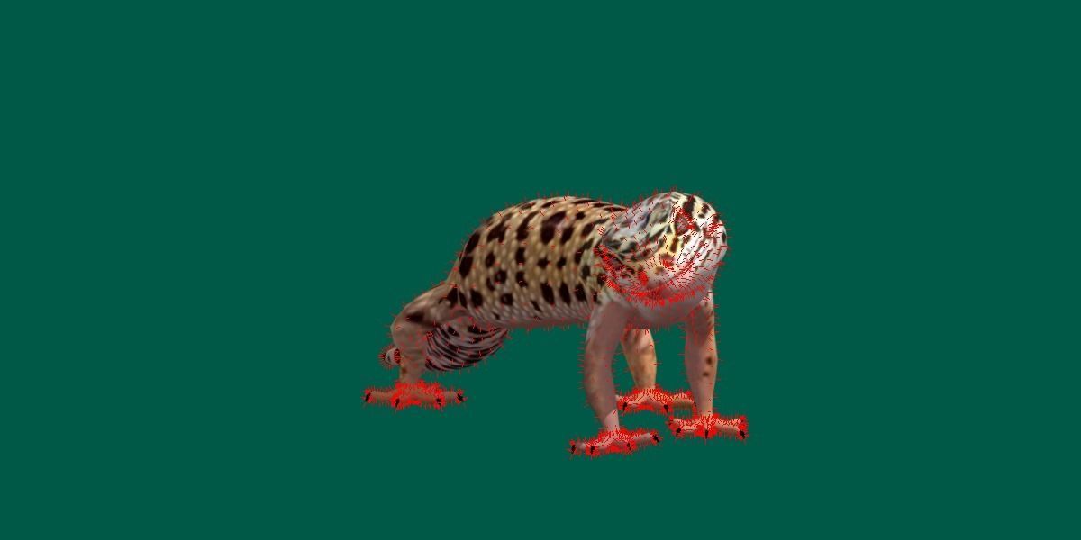 Leopard Gecko Low-poly 3D model_18