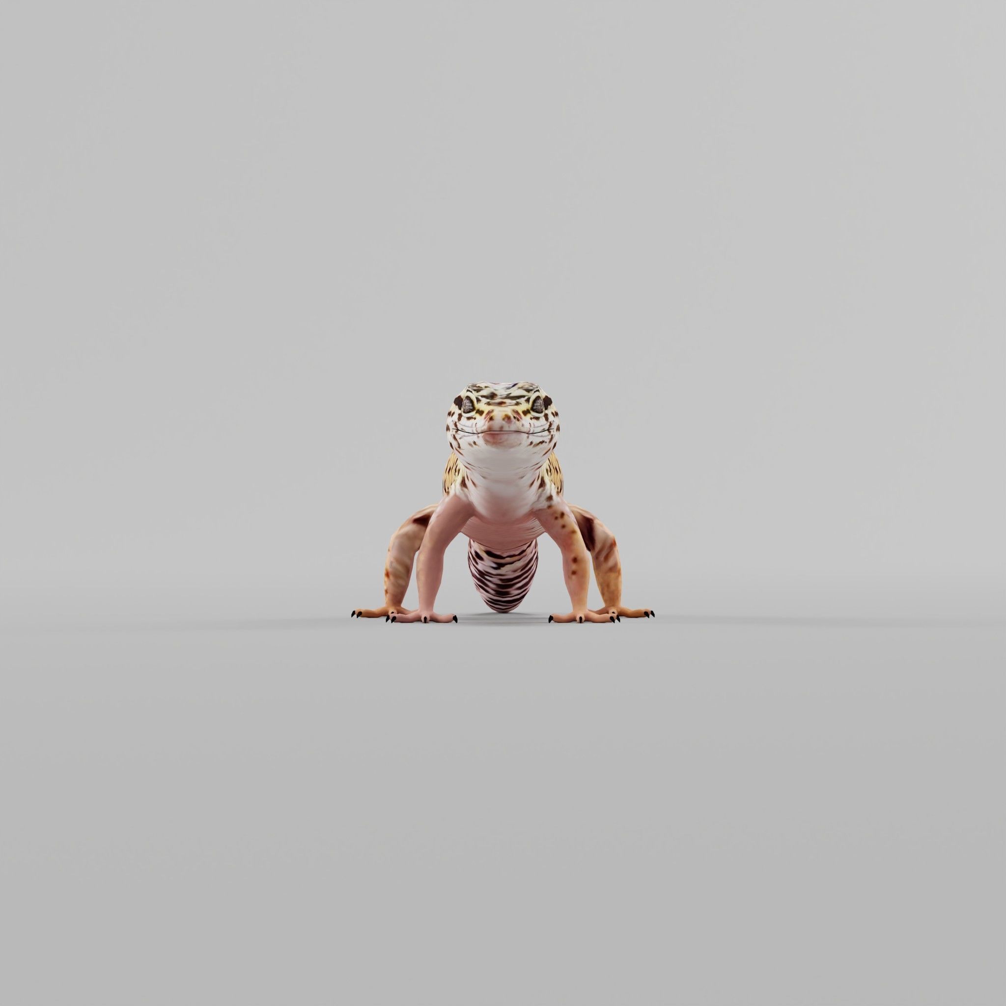 Leopard Gecko Low-poly 3D model_3