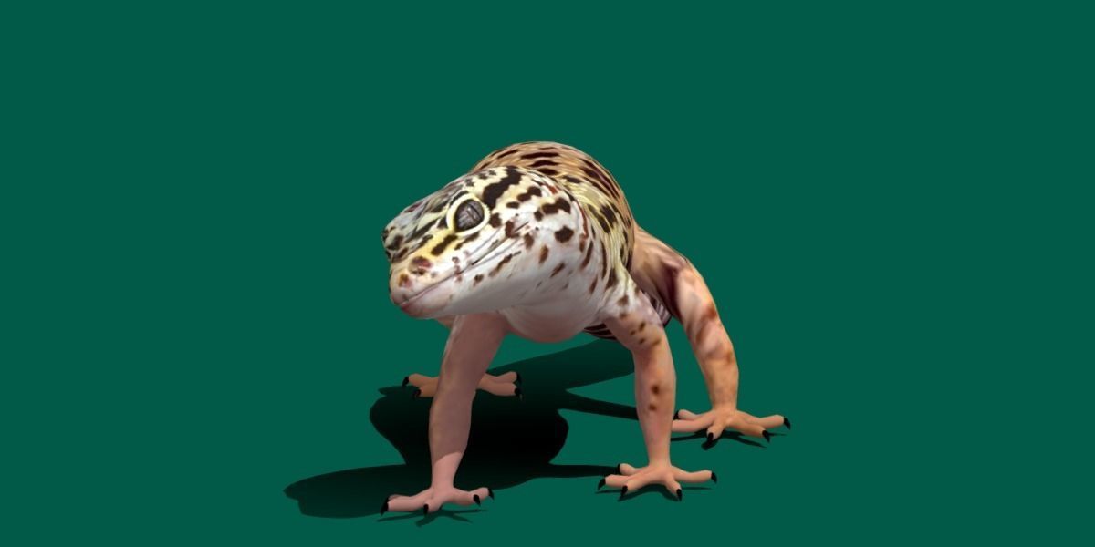 Leopard Gecko Low-poly 3D model_10